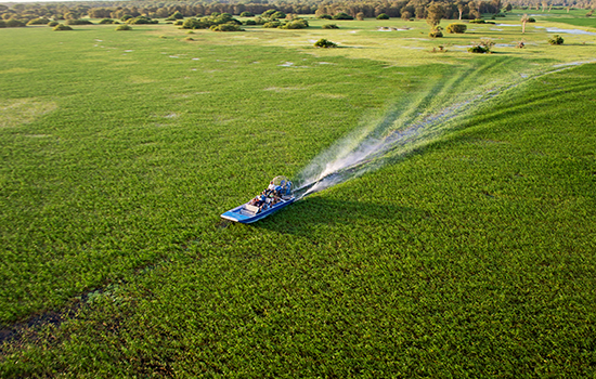 Darwin Wetlands Tour, Darwin Wetlands Package