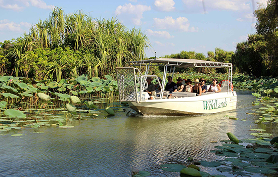 Darwin Airboat Tour, Mary River Wetlands Packages