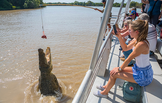 Northern Territory Cruise, Northern Territory Wetlands Package, Northern Territory Wetlands Tour