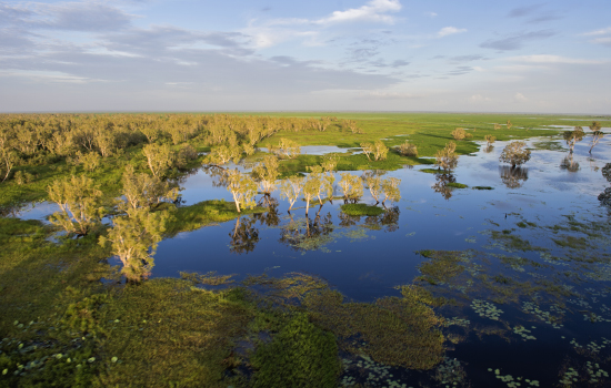 Darwin Wetlands Tour, Darwin Wetlands Package