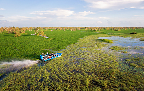 Darwin Wetlands Tour, Darwin Wetlands Package